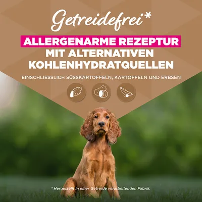 Eukanuba Grain Free Puppy Small & Medium Breed Seefisch - 12 kg