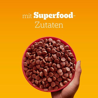 Pedigree Professional Nutrition Mini Adult mit Rind & Gemüse