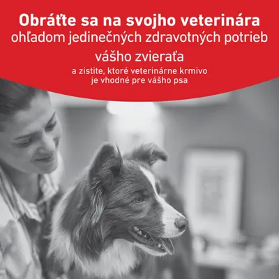 Textový obrázok: Obráťte sa na svojho veterinárneho lekára ohľadom individuálnych zdravotných potrieb vášho zvieraťa a zistite, ktoré veterinárne krmivo je vhodné pre vášho psa.