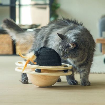 Designed by Lotte  Baya деревянный игровой мяч