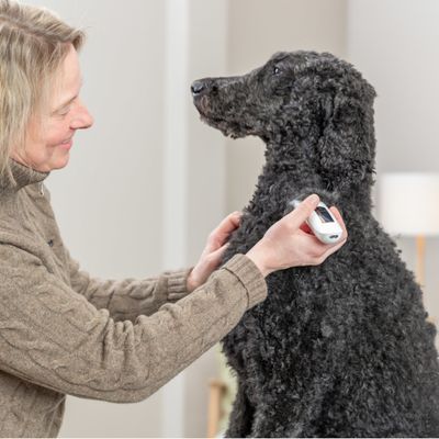 Trixie TR1600 akkumulátoros nyírógép szett 