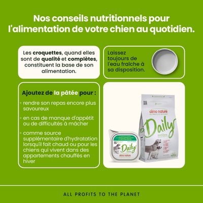 Conseils nutritionnels pour chiens : croquettes de haute qualité comme base, toujours mettre de l'eau fraîche à disposition, pâtée pour améliorer le goût et apporter une hydratation supplémentaire. Illustration de Almo Nature Daily.