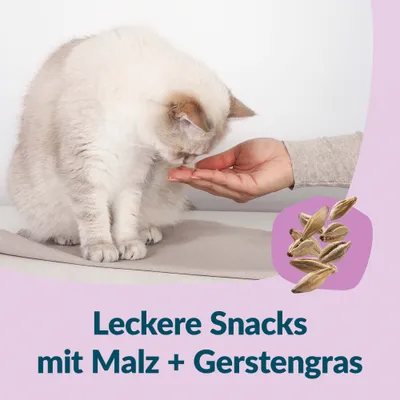 GimCat Nutri Malt Bites - 3 x 40 g