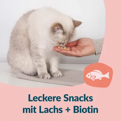 GimCat Nutri Biotin Bites mit Lachs - 40 g