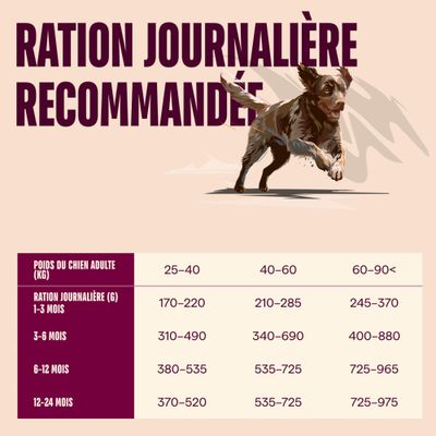 Carnilove True Fresh Junior Large Breeds Canard