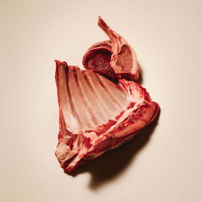 Rohes Lammrippenstück mit Knochen, geeignet als Zutat für Tiernahrung oder Futterprodukte.