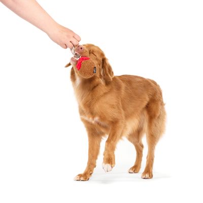 Bark hundleksak A Squeaky Meat-A-Ball