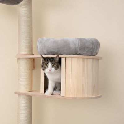 Tiragraffi a parete Natural Paradise Magnolia