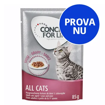 CONCEPT FOR LIFE ALL CATS våtfoder i sås för vuxna katter från 1 år, 85 g. Stor blå cirkel med texten PROVA NU.