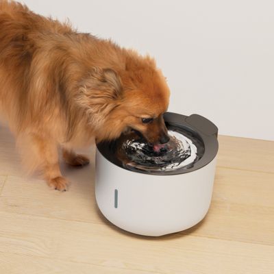Zeus Oasis Drinking Fountain - Grey
