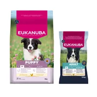 Eukanuba Premium Nutrition Puppy Medium Breed poulet 3 ou 15 kg + 100 g Adult offerts ! - 3 kg