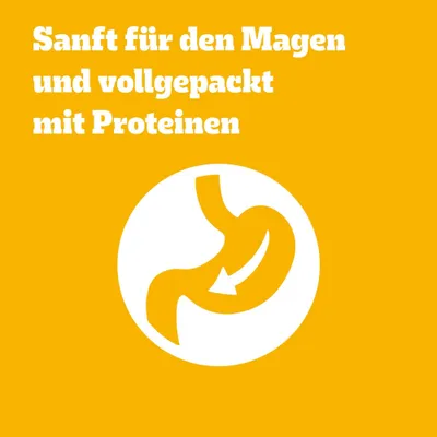 Sanft für den Magen und vollgepackt mit Proteinen Sanft für den Magen und vollgepackt mit Proteinen