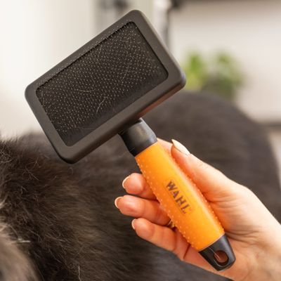WAHL® Spazzola cardatrice