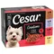 Cesar Selektion Fleisch und Gemüse in Gelee 12 x 100 g