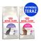 Mieszany zestaw próbny Royal Canin, 2 x 400 g Indoor 27 + Fit 32