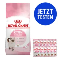 Mix-Probierpaket 400 g Royal Canin Kitten Trockenfutter + 12 x 85 g Pouch - Kitten + Kitten in Sauce