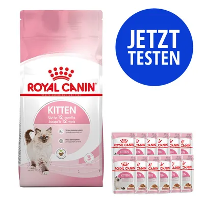 Mix-Probierpaket 400 g Royal Canin Kitten Trockenfutter + 12 x 85 g Pouch - Kitten + Kitten in Sauce Mix-Probierpaket 400 g Royal Canin Kitten Trockenfutter + 12 x 85 g Pouch - Kitten + Kitten in Sauce