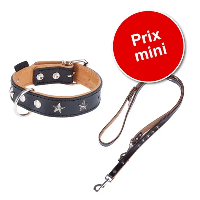 Collier et laisse en cuir noir avec étoiles métalliques, intérieur beige. Texte visible : Prix mini sur un cercle rouge.
