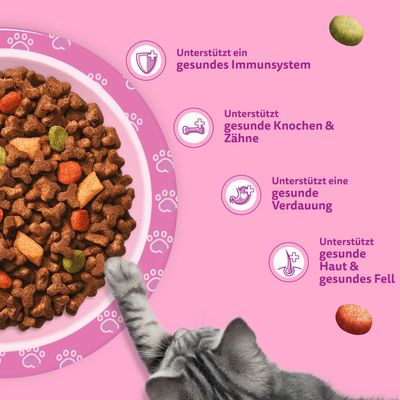 Whiskas Junior Huhn