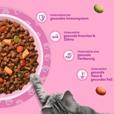 Whiskas Junior Kitten Trockenfutter mit Huhn - Sparpaket: 2 x 1,9 kg