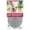Advantix® très petit chien jusqu'à 4 kg 4 mois de protection (4 pipettes)