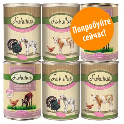 Консервы для собак Lukullus Junior 400 г, разные вкусы. На оранжевом круге текст: Попробуйте сейчас!