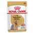 Royal Canin Yorkshire Terrier Adult Mousse 12 x 85 g