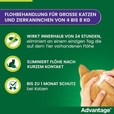 Advantage® für Katzen und Zierkaninchen - 4 Pipetten x 0,8 ml (> 4kg)