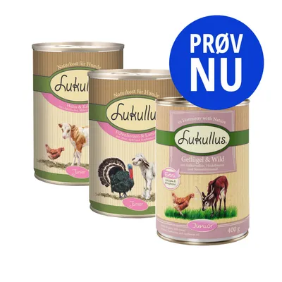 Tre dåser Lukullus hundemad Junior, varianter: Huhn & Kalb, Putenherzen & Lamm, Geflügel & Wild. Blåt mærke med teksten 'PRØV NU' øverst til højre.
