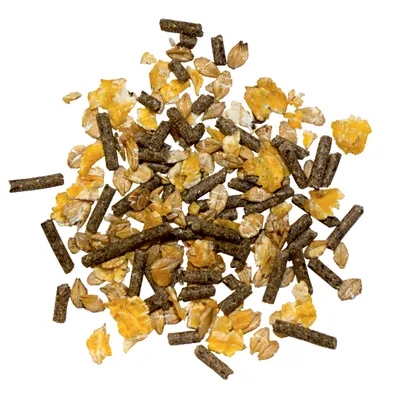Mix van graanvlokken en pellets, zichtbaar: gele maïsvlokken, bruine pellets en haverstukken. Mix van graanvlokken en pellets, zichtbaar: gele maïsvlokken, bruine pellets en haverstukken.