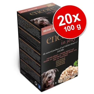 Balení Encore in jelly Deluxe Collection, 20×100 g. Viditelný text: CHICKEN BREAST, CHICKEN BREAST with SALMON and VEGETABLE, CHICKEN BREAST with HAM and VEGETABLES. Fotografie psa a krmiva. Balení Encore in jelly Deluxe Collection, 20×100 g. Viditelný text: CHICKEN BREAST, CHICKEN BREAST with SALMON and VEGETABLE, CHICKEN BREAST with HAM and VEGETABLES. Fotografie psa a krmiva.