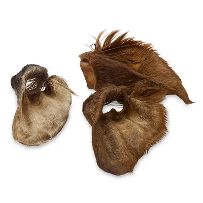 Wolf of Wilderness Oreilles de bœuf avec poils pour chien - 480 g (12 friandises)