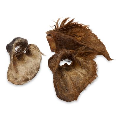 Wolf of Wilderness Oreilles de bœuf avec poils pour chien 480 g (12 friandises)