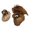 Wolf of Wilderness Oreilles de bœuf avec poils pour chien 480 g (12 friandises)