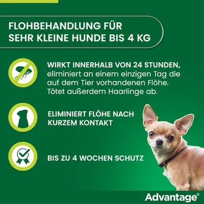 Flohbehandlung für sehr kleine Hunde bis 4 kg. Wirkt innerhalb von 24 Stunden, eliminiert Flöhe und Haarlinge. Bis zu 4 Wochen Schutz. Marke: Advantage.