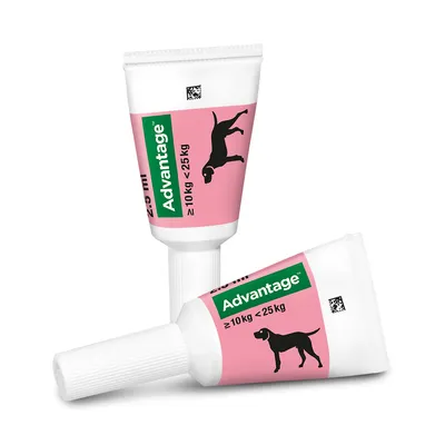Advantage Spot-On oplossing voor honden van 10-25 kg, verpakking met 2 tubes van 2,5 ml.