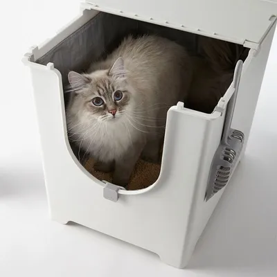 Kat in witte kattenbak met open voorkant, zichtbaar schepje aan de zijkant bevestigd. Kat kijkt omhoog, kattenbak gevuld met kattengrit.
