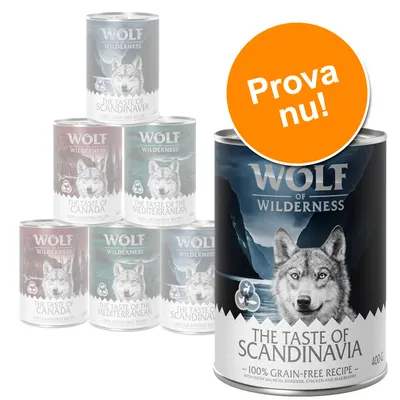 Wolf of Wilderness våtfoderburkar, synliga sorter: The Taste of Scandinavia, The Taste of Canada, The Taste of the Mediterranean. Stor orange cirkel med texten 'Prova nu!'. Wolf of Wilderness våtfoderburkar, synliga sorter: The Taste of Scandinavia, The Taste of Canada, The Taste of the Mediterranean. Stor orange cirkel med texten 'Prova nu!'.