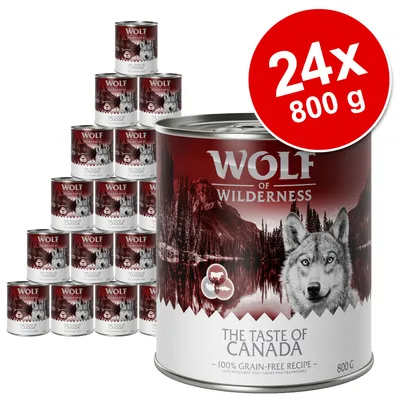 Lot de 24 boîtes Wolf of Wilderness The Taste of Canada, 800 g chacune, recette sans céréales, marque et nom du produit visibles sur l’emballage.