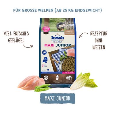 bosch Maxi Junior für große Welpen ab 25 kg Endgewicht, viel frisches Geflügel, Rezeptur ohne Weizen, Abbildung von Futter und Zutaten.