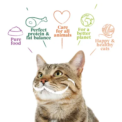 Pure food, Perfect protein & fat balance, Care for all animals, For a better planet, Happy & healthy cats. Text above tabby cat image.