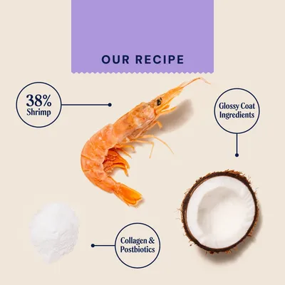 Pooch & Mutt Skin & Coat Meaty Treats with Shrimp, Coconut & Postbiotics - Saver Pack: 3 x 120g