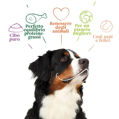 Cibo puro, perfetto equilibrio proteine-grassi, benessere degli animali, per un pianeta migliore, cani sani e felici. Testo in italiano sopra cane.