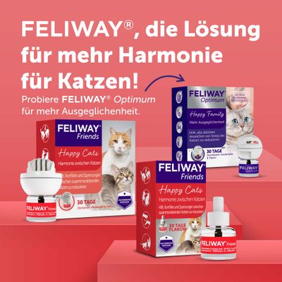Nachfüllflakons für FELIWAY Friends