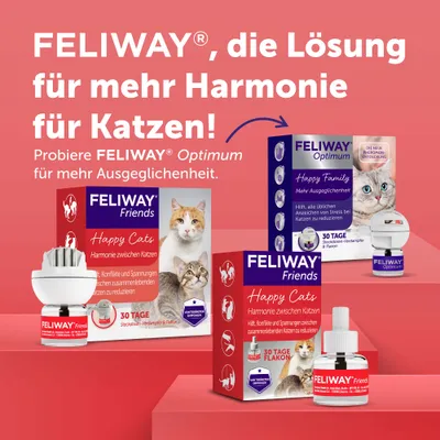 Nachfüllflakons für FELIWAY Friends Nachfüllflakons für FELIWAY Friends