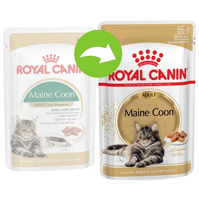 Royal Canin Maine Coon Adult, dvije verzije pakiranja od 85 g s mačkom na prednjoj strani i strelicom koja pokazuje promjenu dizajna ambalaže.