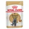 Lot de sachets fraîcheur Royal Canin 48 x 85 g pour chat Breed British Shorthair