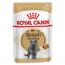 Royal Canin British Shorthair Adult umido in Salsa per gatti 12 x 85 g