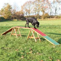 Trixie Dog Agility Bridge - 456 x 30 x 64 cm (L x W x H)