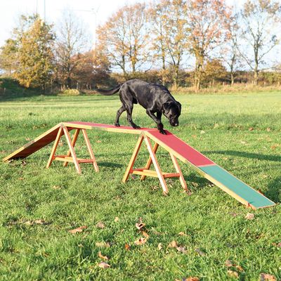 Rampe Trixie Dog Activity Agility pour chien L 456 x l 30 x H 64 cm